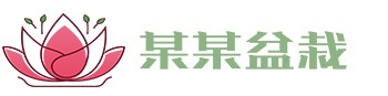 乐动·LDSports(中国)体育官网